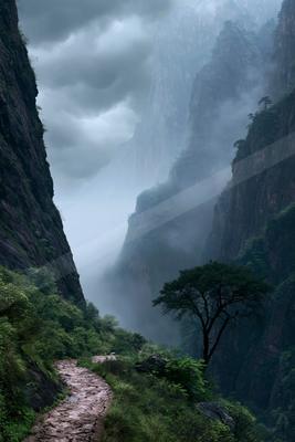 A serene stone path winds through a dense forest at the base of towering mist-covered mountains, creating an otherworldly atmosphere.