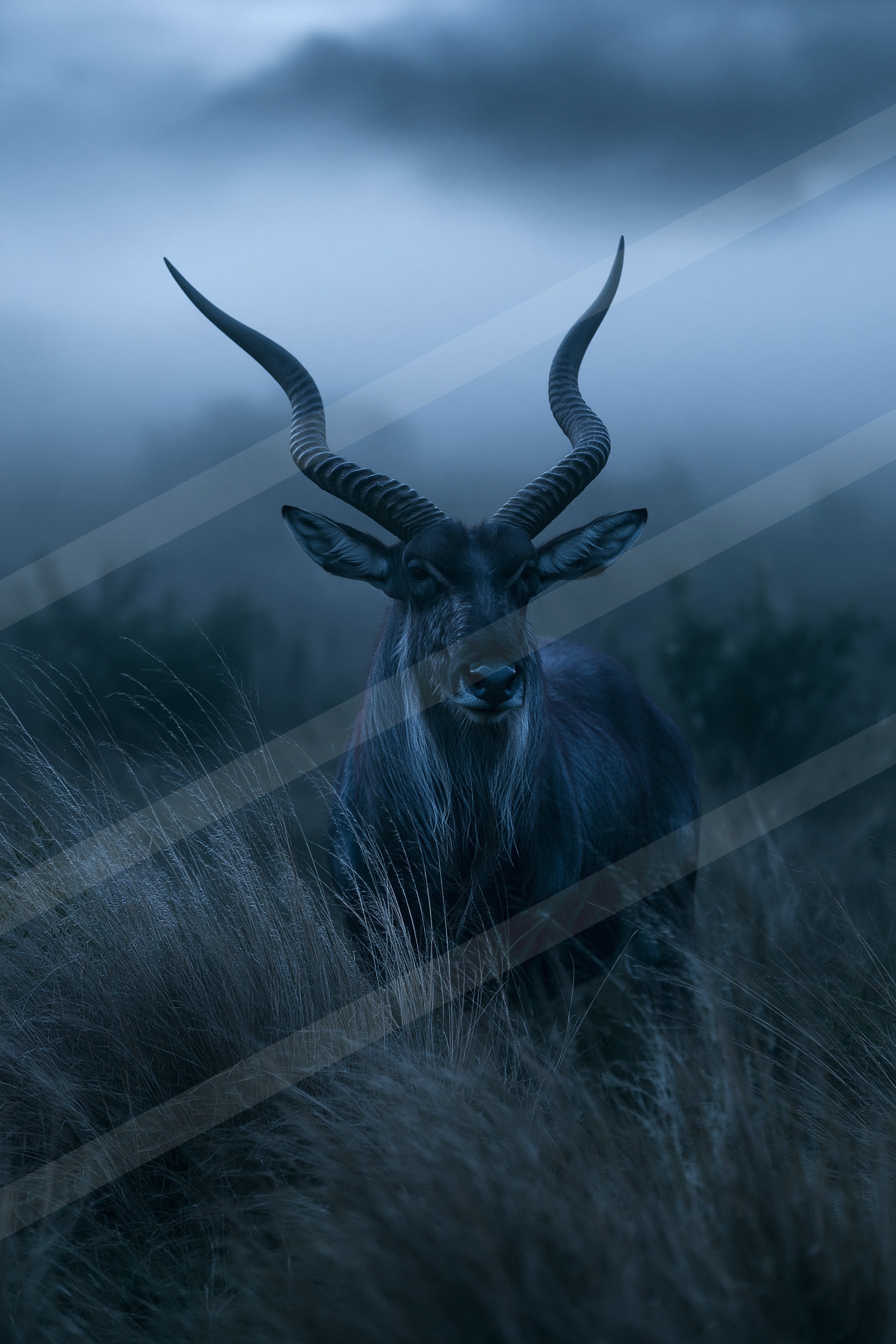 Gazelle.