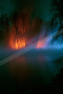 A dramatic water scene of lake, forest, trees.
