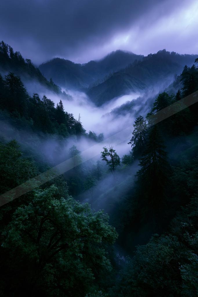 A serene landscape of mountains, forest, valley.