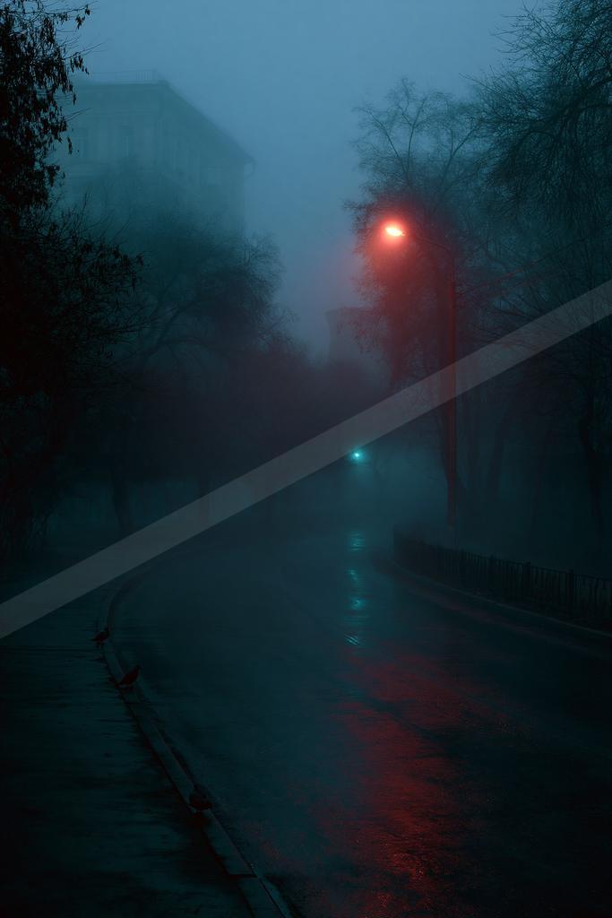 A foggy urban street at night illuminated by a bright red streetlight casting reflections on the wet pavement, with bare trees, a building in the mist, and pige