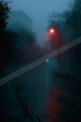 A foggy urban street at night illuminated by a bright red streetlight casting reflections on the wet pavement, with bare trees, a building in the mist, and pige
