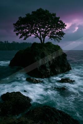 A solitary tree stands atop a rocky outcrop surrounded by turbulent ocean waves under a dramatic purple and dark cloudy sky.