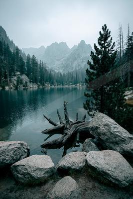 A serene mountain lake surrounded by rocky shores, pine trees, and a large piece of driftwood in the foreground, with jagged peaks rising in the misty backgroun