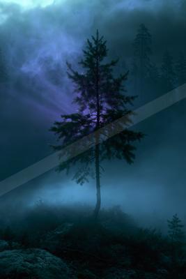 A night nature scene of trees, nebula, storm.