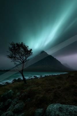 A lone tree stands on a rocky lakeshore with dramatic green northern lights illuminating the night sky above a misty mountain.
