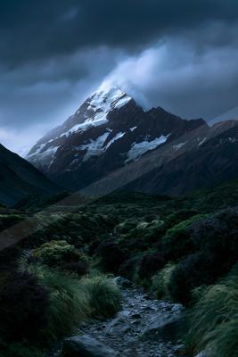 A rocky trail winds through purple and green alpine shrubs toward a towering, snow-covered mountain peak partially shrouded in dark, dramatic storm clouds.