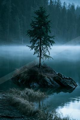 A mysterious water scene of a lake, reflection.