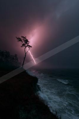 A lone windswept tree stands on a dark cliff edge as a bright pink lightning bolt strikes the turbulent ocean during a nighttime thunderstorm.