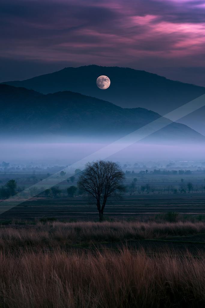 A blue hour nature scene of trees, mountains, valley.