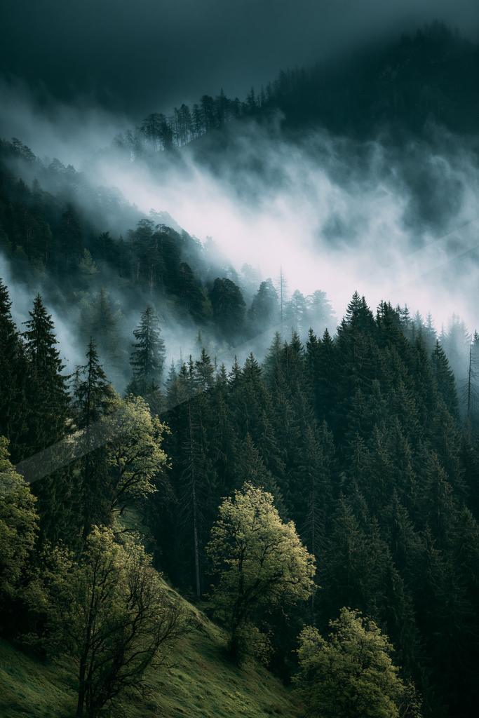 A black-toned moody photograph of valley, lakeside, alp.