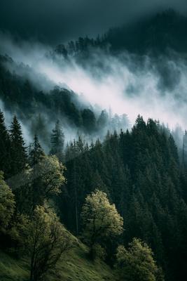 A black-toned moody photograph of valley, lakeside, alp.