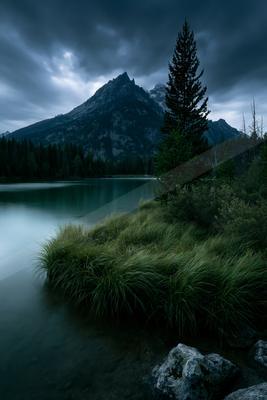 A serene mountain lake with smooth water reflecting a jagged peak under heavy storm clouds, framed by a tall evergreen tree and grassy shoreline in the foregrou