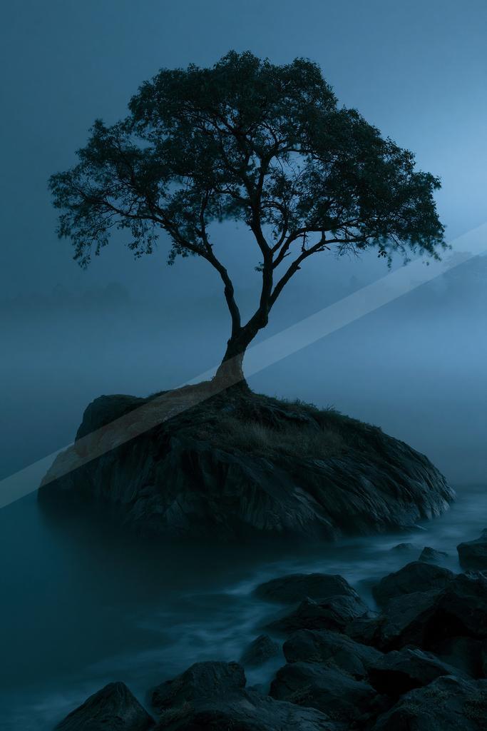A solitary tree stands on a rocky island surrounded by misty water and dark rocks in a moody blue atmosphere.
