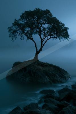 A solitary tree stands on a rocky island surrounded by misty water and dark rocks in a moody blue atmosphere.