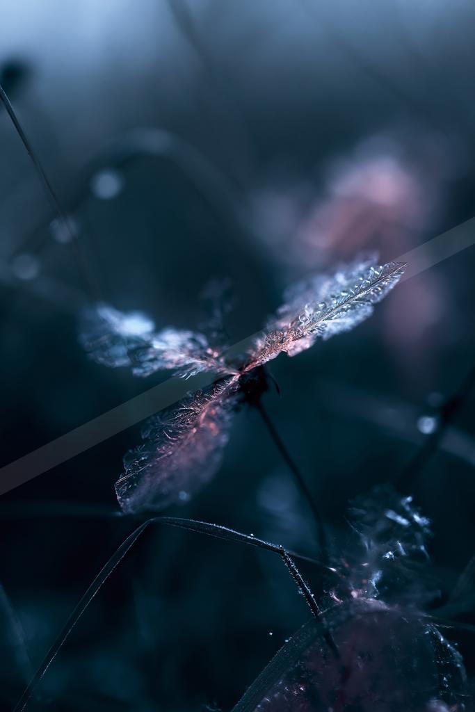 A moody still life.