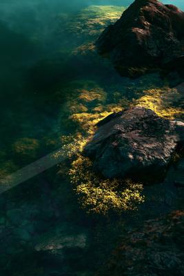 A moody still life of abstract texture, river, lake.