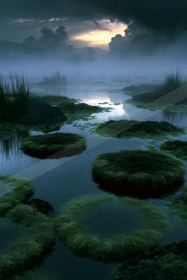A serene water scene of lake, fog.