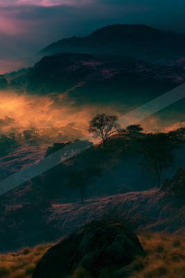 A moody sky scene of sunset, mountains, trees.