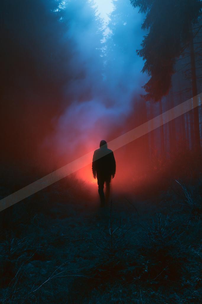 A night nature scene of forest, silhouette.