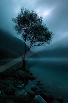 A dramatic water scene of lake, trees, storm.