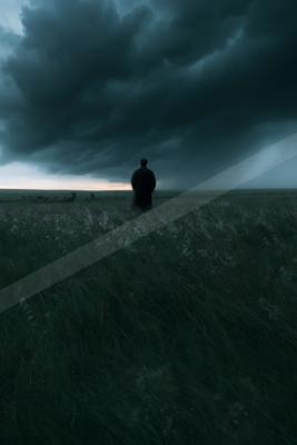 A solitary man in a dark coat stands with his back to the viewer in a windswept grassy field, looking toward a dramatic, dark stormy sky with a distant flock of