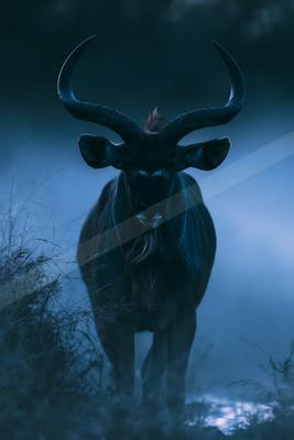 A large male greater kudu with impressive spiral horns stands facing the camera in a misty blue forest at night.