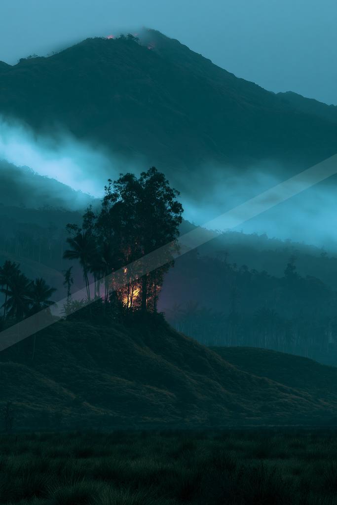 A moody landscape of mountains, trees, forest.