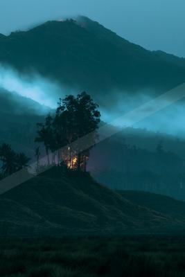 A moody landscape of mountains, trees, forest.