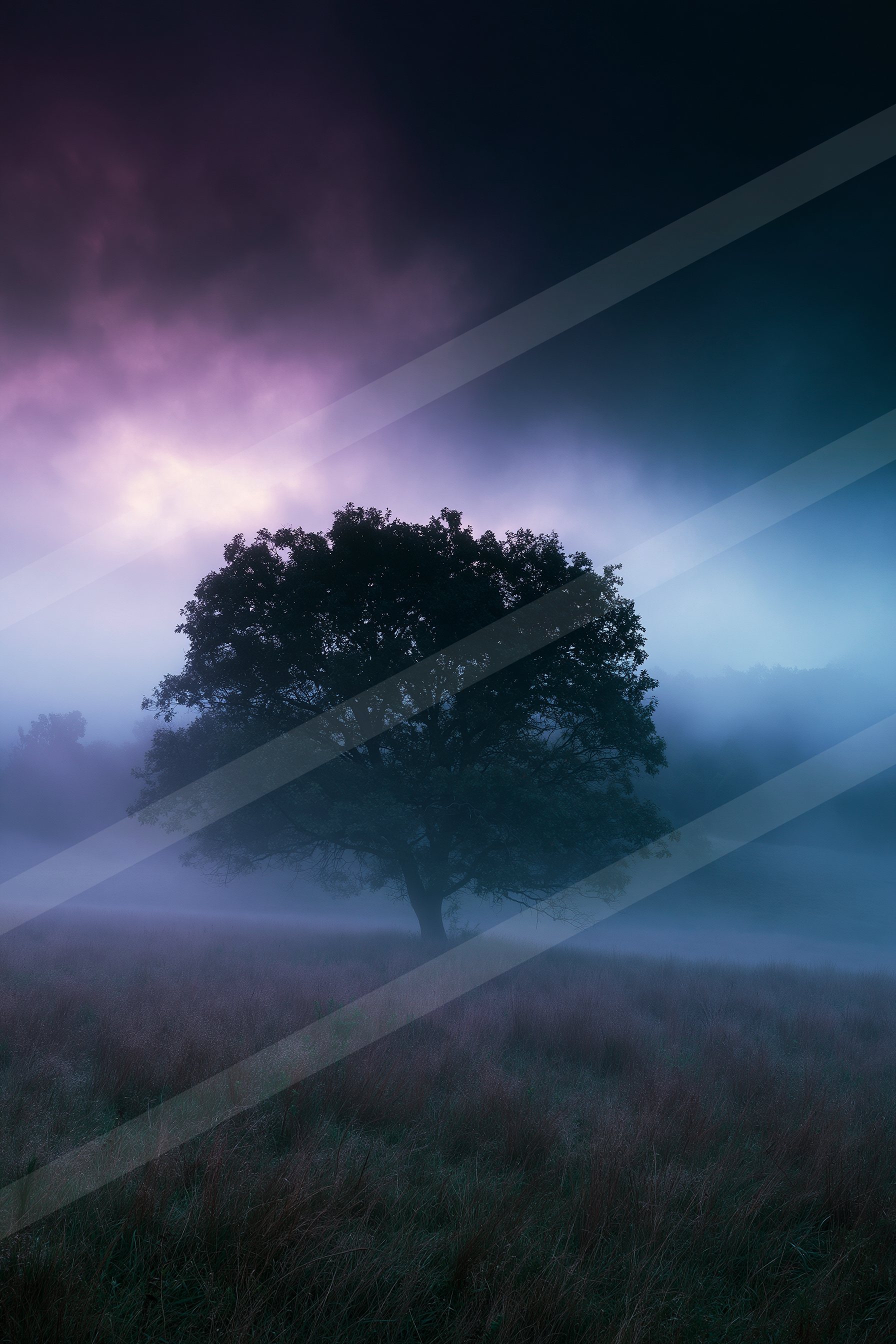A lone tree stands tall in a foggy field under a twilight sky filled with purple hues.