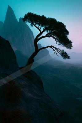 A blue hour nature scene of trees, mountains, silhouette.