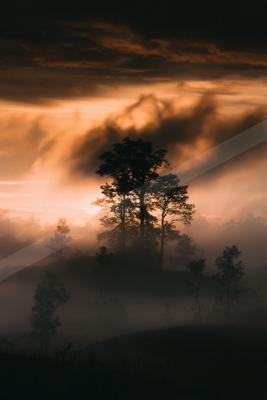 Silhouetted trees against a vibrant sunset sky filled with clouds and mist.