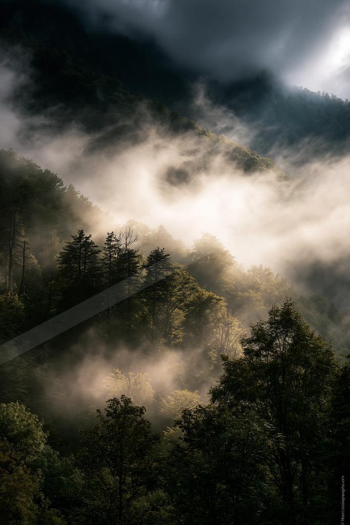 An ethereal high contrast landscape of a valley, fog.