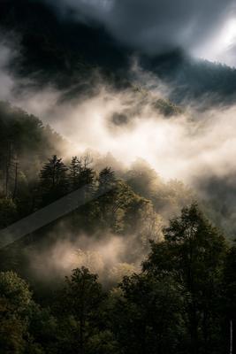 An ethereal high contrast landscape of a valley, fog.