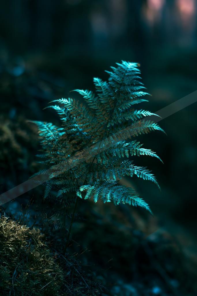 A moody water scene of ocean.