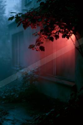 A dark, foggy night scene featuring a building with a window glowing in intense red light, partially obscured by a branch with red berries in the foreground.