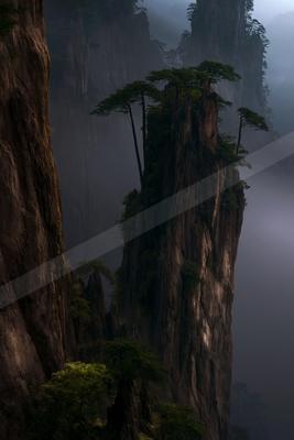 A black-and-white dramatic landscape of mountains, valley, forest.