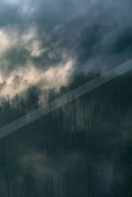 A dramatic sky scene of clouds, storm, forest.