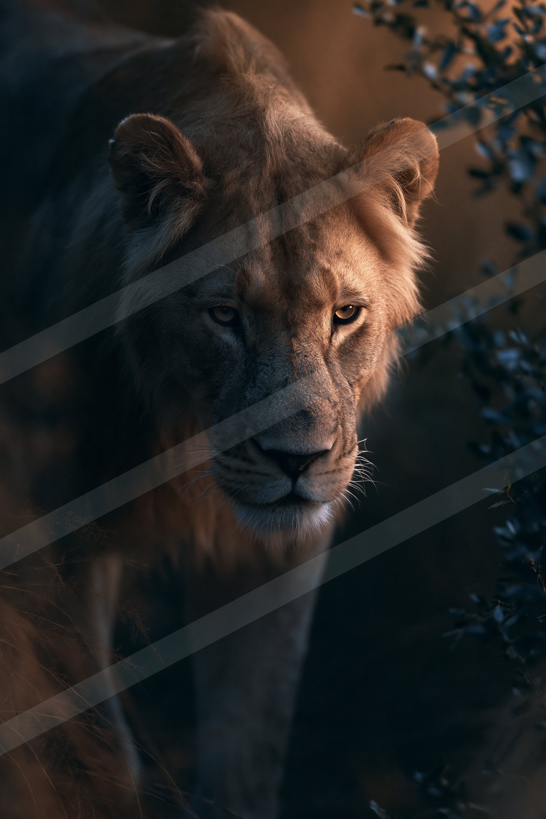 A powerful lion with piercing eyes and a thick mane is captured up close, surrounded by dark foliage in a forested environment.