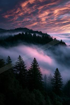 A night sky scene of sunrise, trees, mountains.