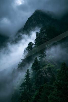 A serene mountain landscape shrouded in mist and lush evergreen trees.