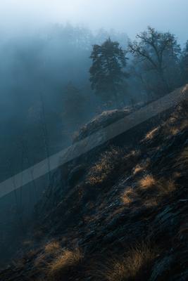 A serene forest landscape shrouded in mist, featuring sunlit rocks and trees on a hillside.