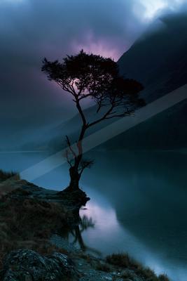 A night long exposure nature scene of trees, lake, fog.