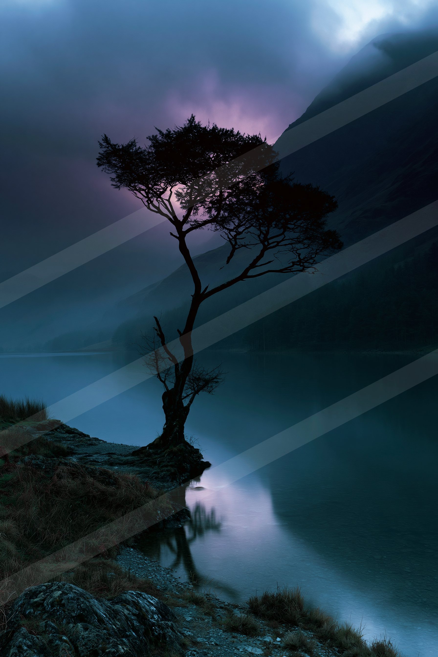An ethereal nature scene of a pine tree, reflection.