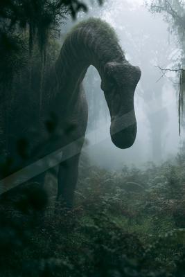 A moody wildlife photo of wildlife.