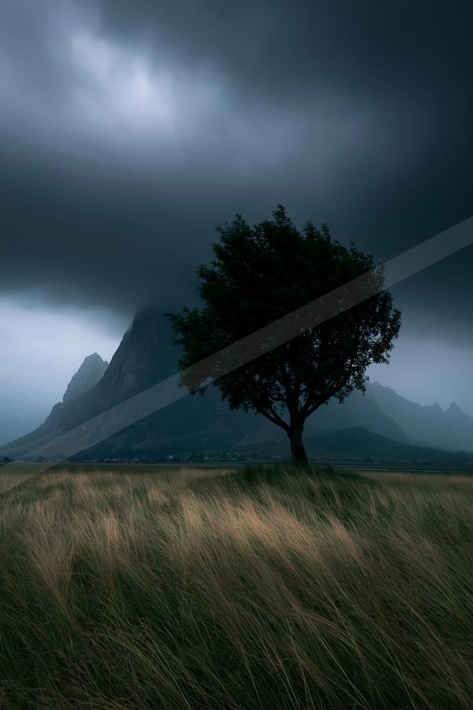 A serene nature scene of trees, mountains, field.