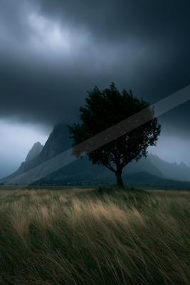 A serene nature scene of trees, mountains, field.
