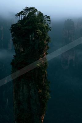 A dramatic nature scene of trees, mountains, fog.