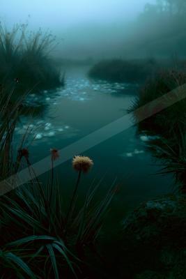 A serene water scene of lake, river, fog.