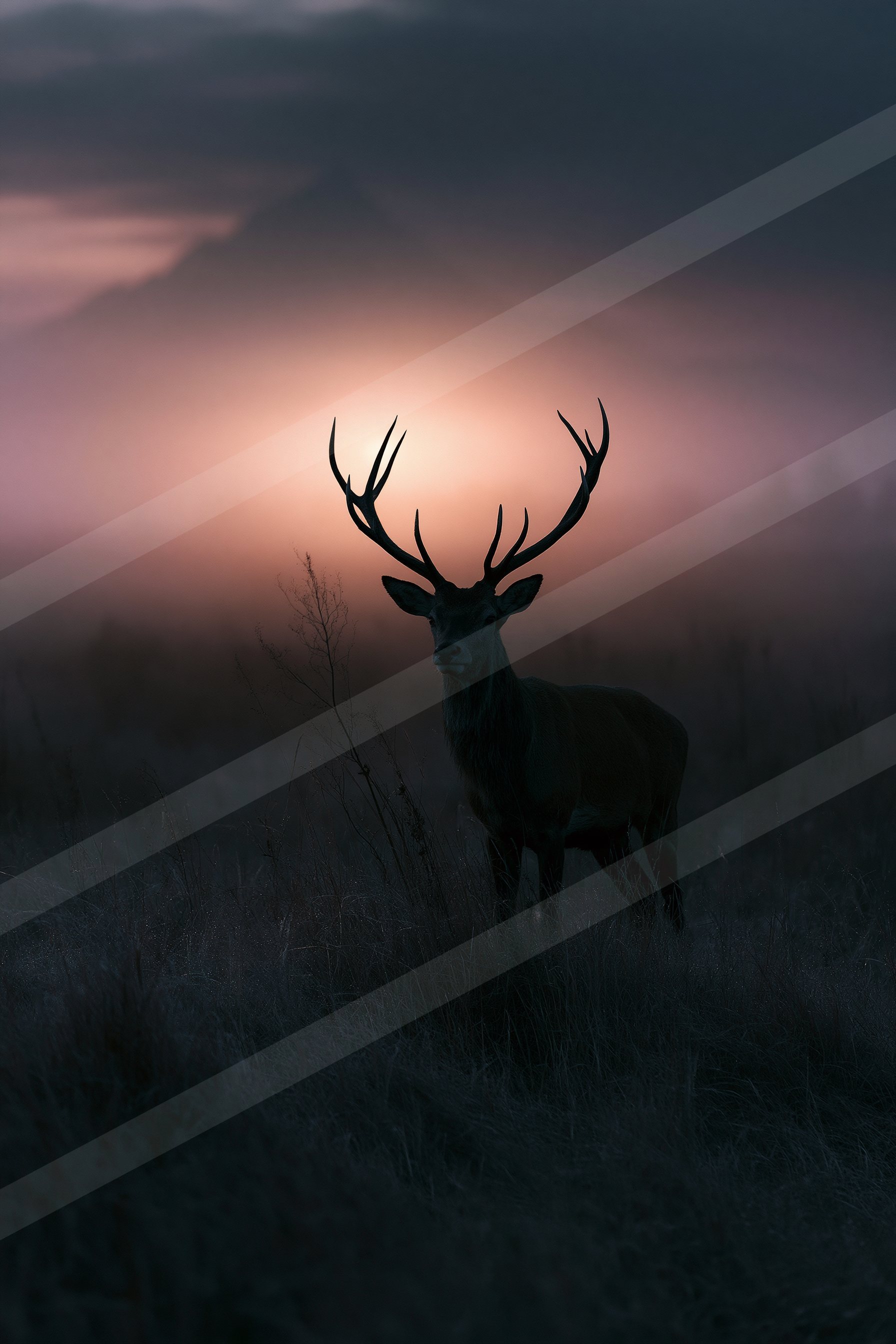 Twilight sky in a misty meadow.